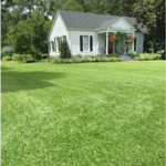 Home Lawn In Columbiana