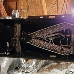 TAM9
