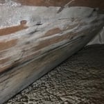 Mold along attic wall