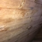 Wall after mold removal