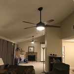 Ceiling fans