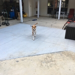 Graham patio