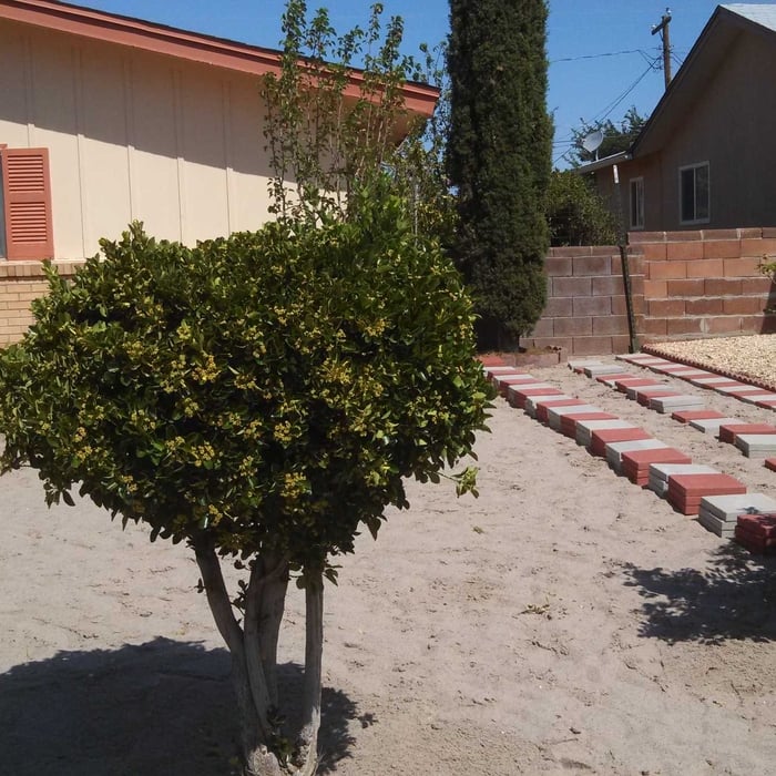 Our work