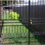 Iron gate