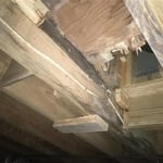 Floor damaged by water and fungus