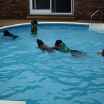 Swimming pool sandblasting and epoxy coating