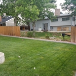 Fence