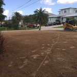 Field_After
