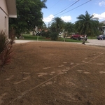 Field_After2