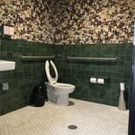 Bathroom walls and floors