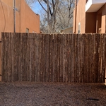 Double drive coyote fence gate