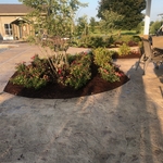 Stamped color concrete walkways