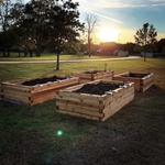 Garden Build