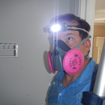 Attic Inspection
