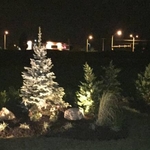 LED Lighting