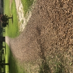 Land clearing project