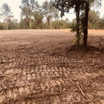 Land clearing project