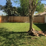 Sod installation