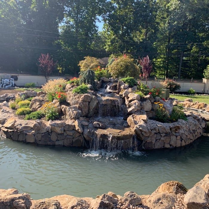 Koi Pond