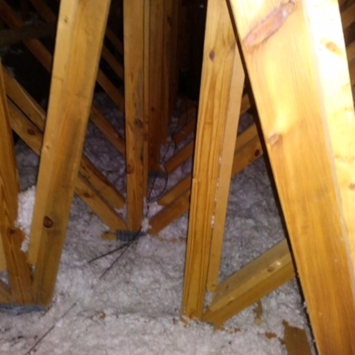Attic Restoration 3 Before