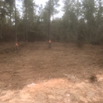 Land Clearing