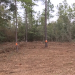 Land Clearing