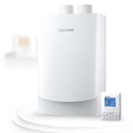Tankless Water Heater