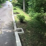 Weeding around bushes