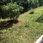 Prep mulching