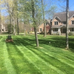 Spring cut