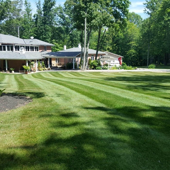 Summer cut, Chardon Oh