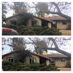 Before and After