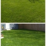 Customer lawn #1