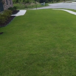 Customer lawn #2