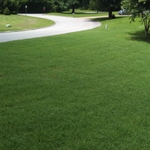 Customer lawn #4