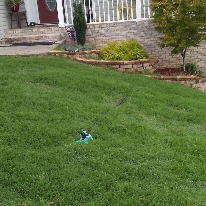 Customer lawn #5