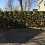 Healthy Pruning of Trees
