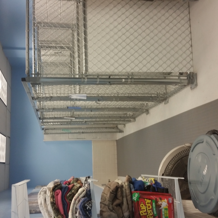 Remodel Animal Hospital