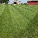 Lawn stripes #1
