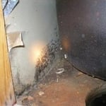 Visible Mold