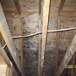 Visible Mold