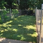 Backyard Sod