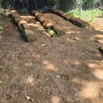Backyard Sod