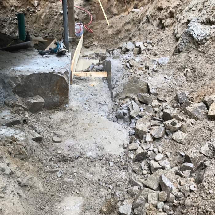 Foundation & Landscaping
