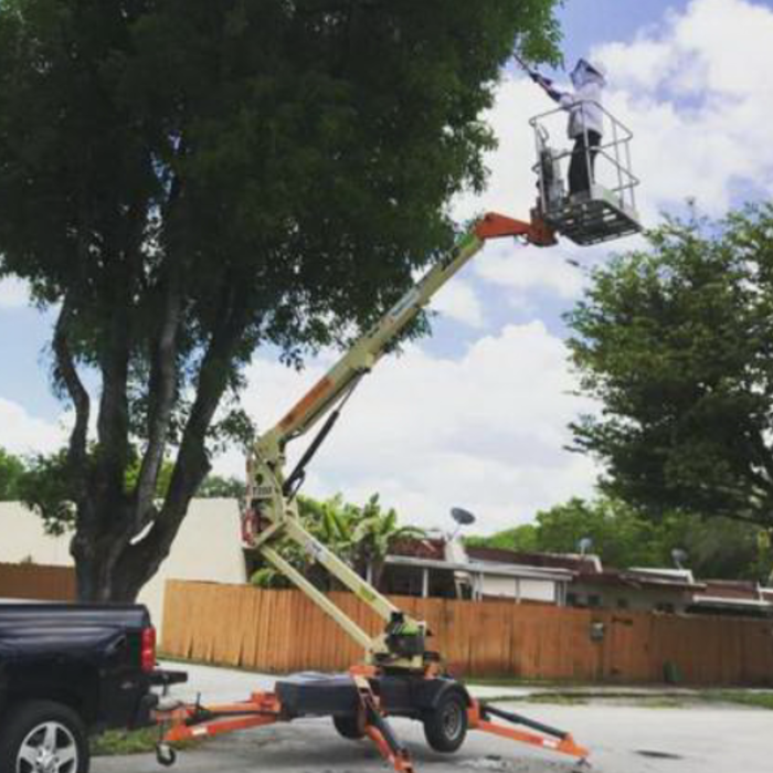 Residential Tree