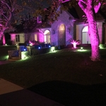 front yard