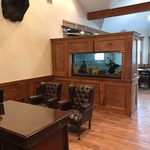 Custom fish tank area
