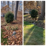 Clean up and trimming