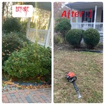 Trimming of bushes and ot