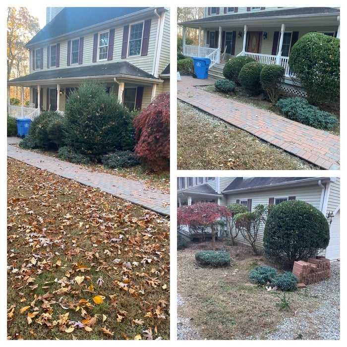 Trimming of bushes and ot